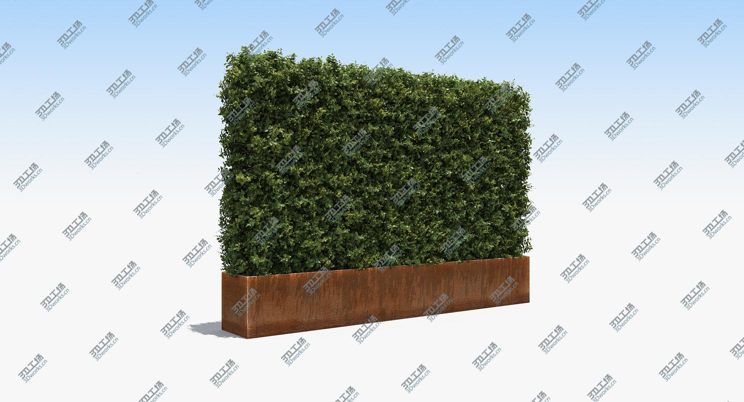 images/goods_img/202105071/Boxwood Hedge in a Planter with a Steel Rusted Patina Finish/1.jpg